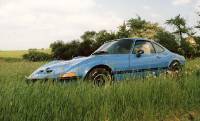 MARTINS RANCH Opel GT emotion grass 